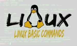 Top Linux Basic Commands You Need to Know in 2024 1 Top Linux Basic Commands You Need to Know in 2024